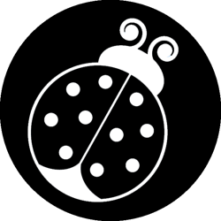 Roundbugblack_preview