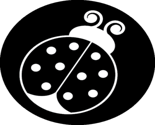 Roundbugblack_thumb