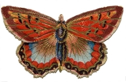 Butterflygold-graphicsfairy3_preview