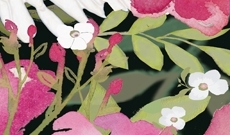 Roserose-icon_preview