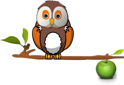 Owl-on-branch_preview