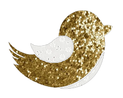 Bird_with_no_background_preview