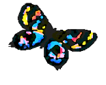 Lil_ent_logo_thumb