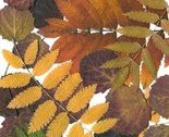 Autumn_leaves_avatar_thumb
