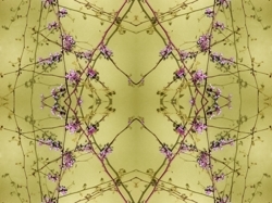 Screen_shot_2015-04-16_at_8.10.42_pm_preview