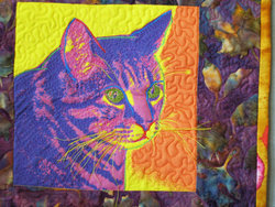 Catquiltcolor1_preview