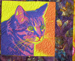 Catquiltcolor1_thumb