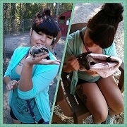 Kangaroo_zoo_preview