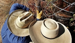 Western-wear_preview