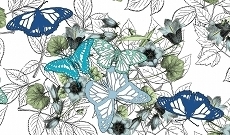 Butterflies_preview
