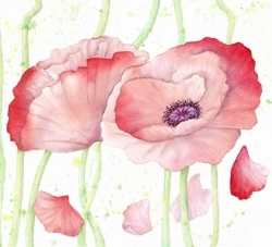 Poppies_cropped_3_preview