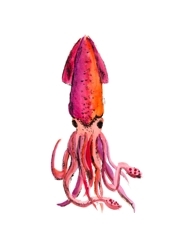 Singlesquid_preview
