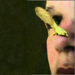 Pollynose_preview