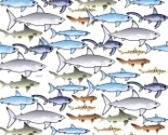 Schoolofsharks1xbclowres_thumb