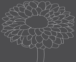452752_rrrdahlia_ed_ed_thumb