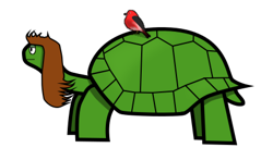 Tortoise_preview