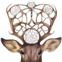Deer-head_preview