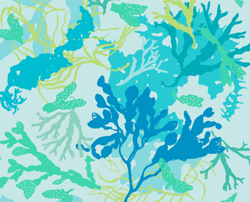 Botanical-beach_kinda-blue-profile_preview