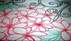 Cimg1585_preview