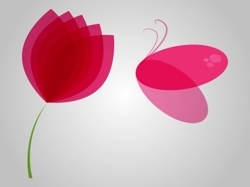 Image_preview