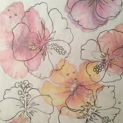 Hibiscus_sketch_preview