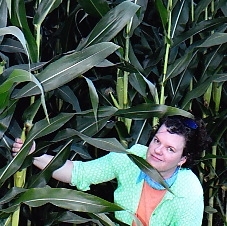 Me_corn_low_rez__preview