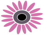 Daisy_pink200_thumb