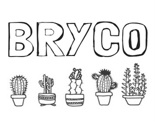Bryco_thumb