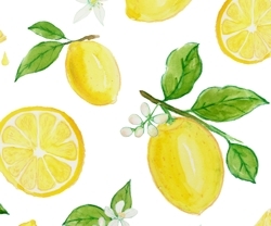 Lemons_-_spoonflower_profile-02_preview