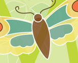 Abc_insects_crop_m_-_profile_image_preview