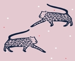 Leopard_thumb