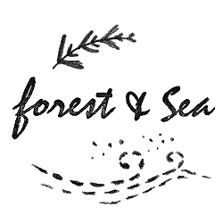 Forest_seashopspfl_preview