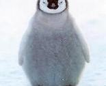 Penguin-chick_thumb