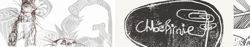 Word_press_banner_preview