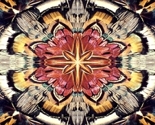 Plumagery_thumb