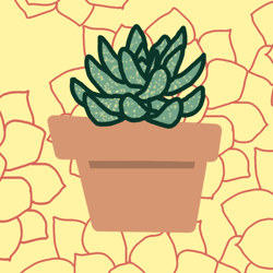 Succulent_icon_preview