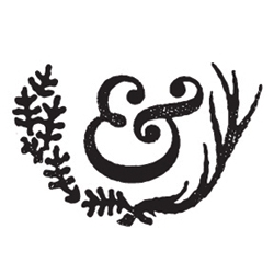 Logo_preview