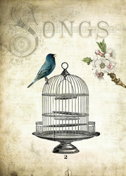 9__birdcage_preview