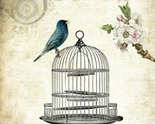 9__birdcage_thumb