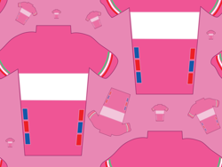 2017-04-29_maglia_rosa_giro_d_italia_pink_jersey_bkp_flat_bkp_300ppi_preview