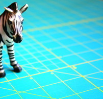 Profile_zebra2_preview