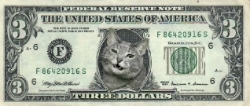 Meownyprofile_preview