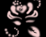 Velvetyredrose_starryblush_thumb