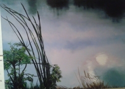 Edit_zapp_water_first_watch_preview