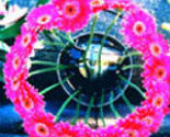 View_entrecard_thumb