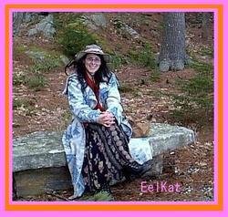 13me_2a_preview