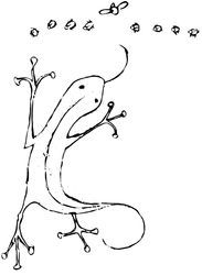 Lizard_shop_image__preview