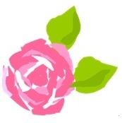 Rosapomposa2_preview