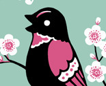 Birdie_profile_pic_preview
