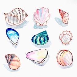 E_2002_shells__col4__cr2_sq_sm2_preview